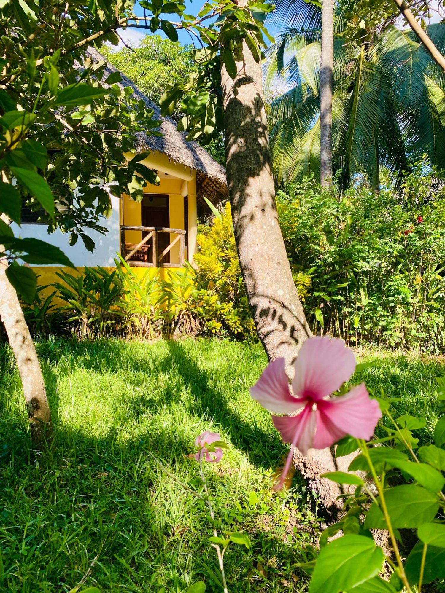 Mangrove Lodge Zanzibar Exterior foto