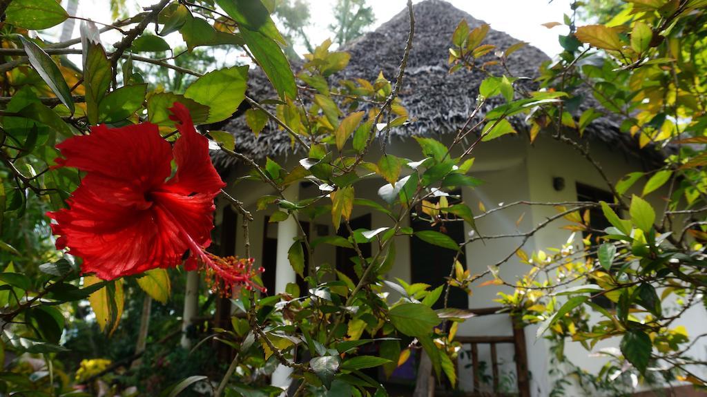 Mangrove Lodge Zanzibar Habitación foto
